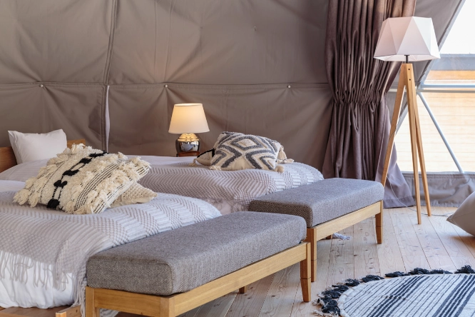 被写体 イメージ画像